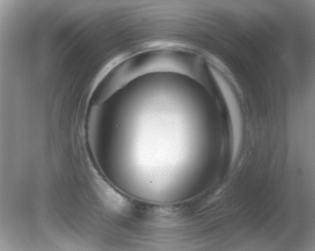 X0000082751330200701261457
