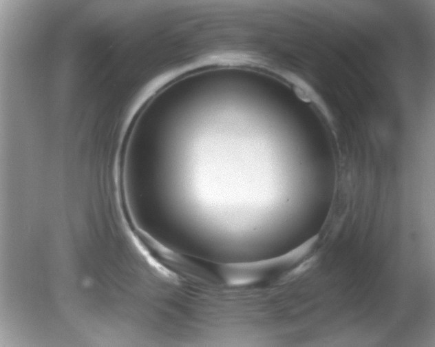 X0000082751343200701261457