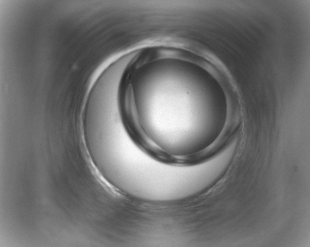 X0000082751344200701261457
