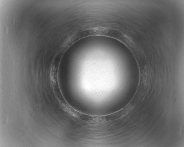 X0000082751346200701261456
