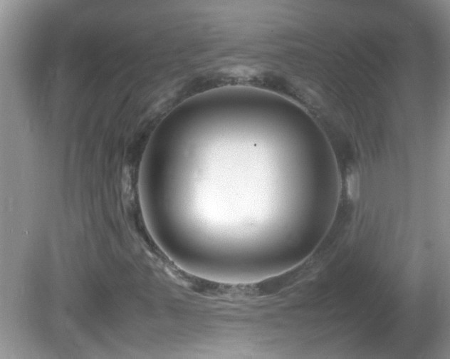 X0000082751347200701261456