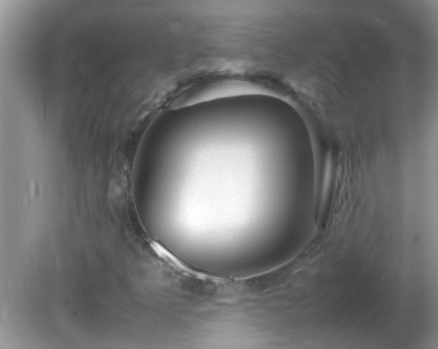 X0000082751349200701261456