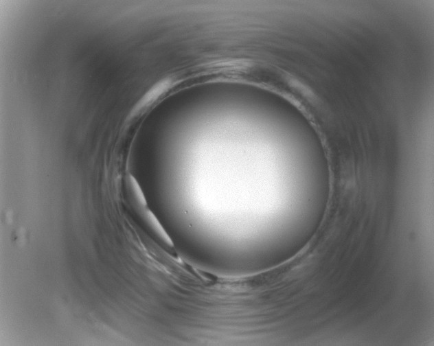 X0000082751354200701261456