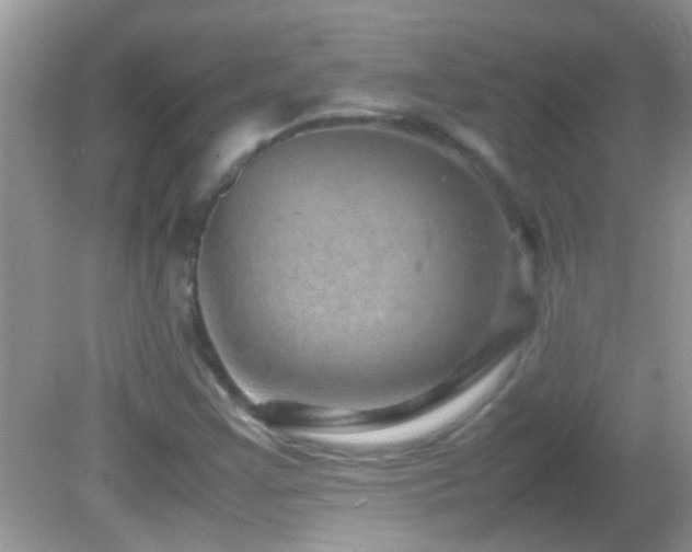 X0000082751355200701261456