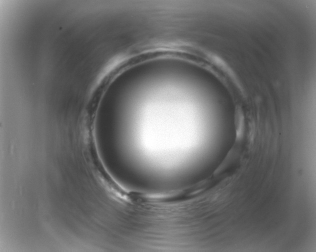 X0000082751360200701261456