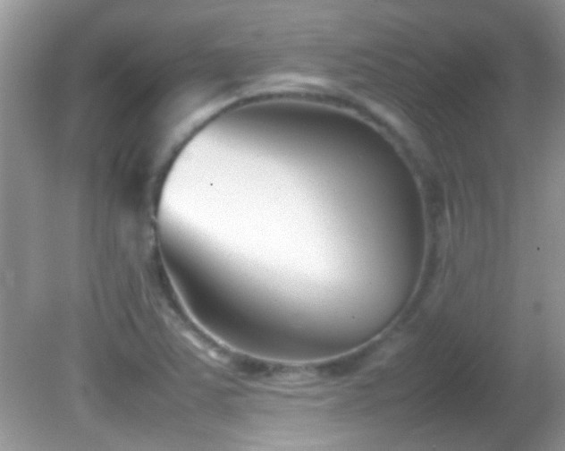 X0000082751363200701261456