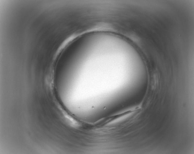 X0000082751366200701261456