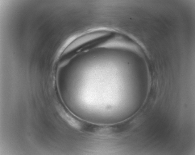 X0000082751367200701261456