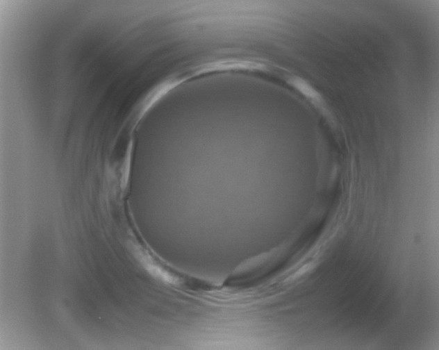 X0000082751369200701261456
