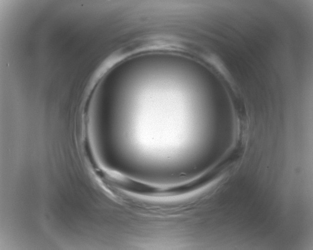X0000082751371200701261456