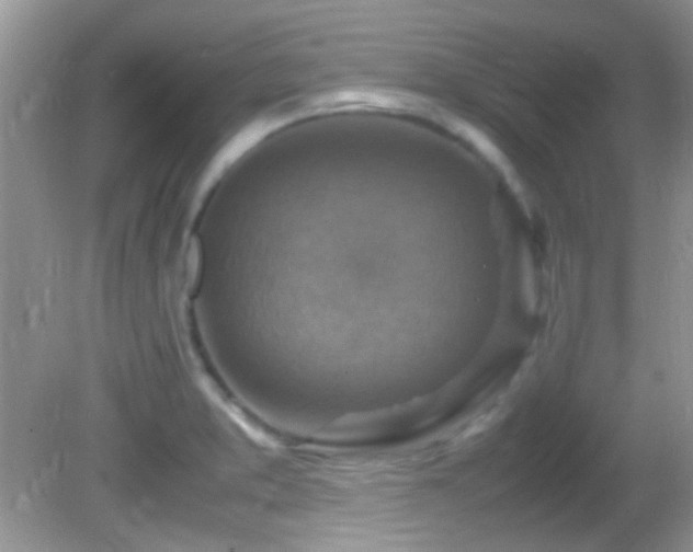 X0000082751373200701261456