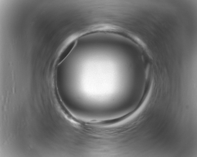 X0000082751375200701261456