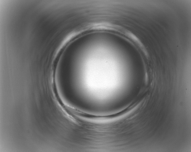 X0000082751376200701261456