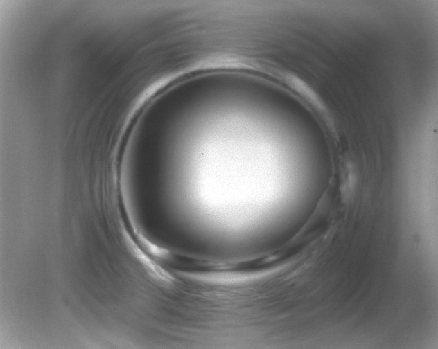 X0000082751380200701261456