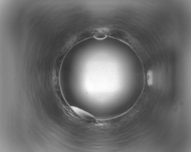 X0000082751395200701261455