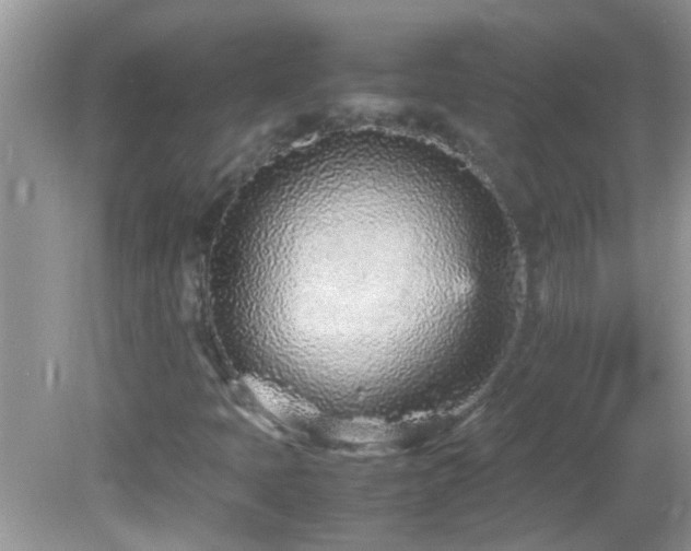 X0000082751397200701261455