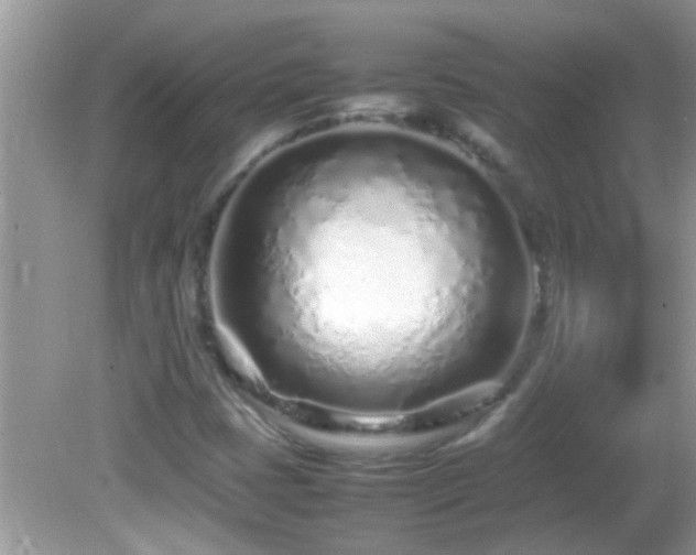 X0000082751401200701261455