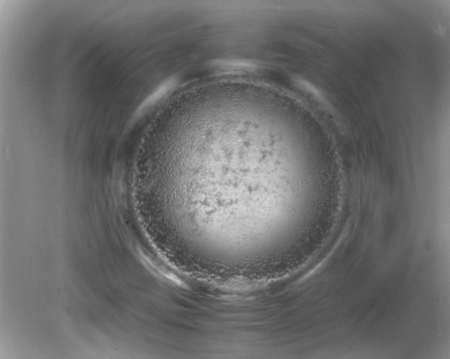 X0000082751403200701261455
