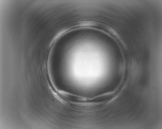 X0000082751417200701261455