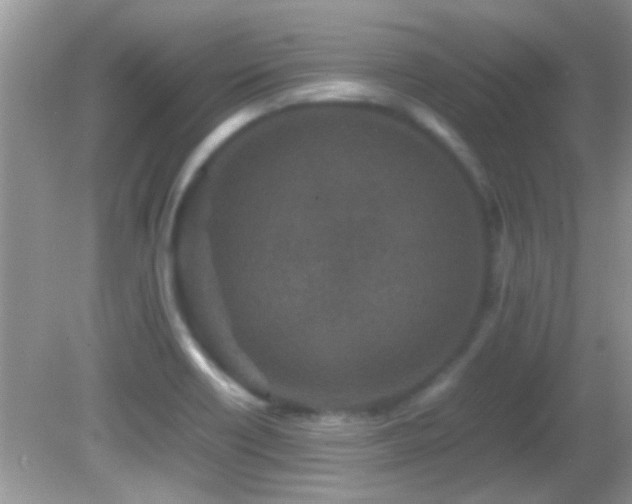 X0000082751418200701261455