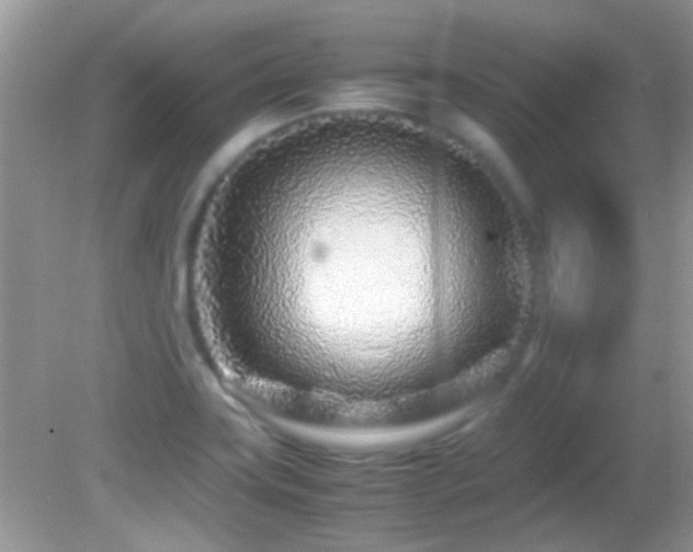 X0000082751419200701261455