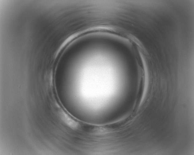 X0000082751420200701261455