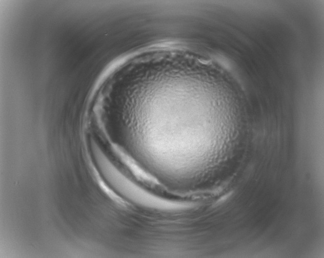 X0000082751421200701261455
