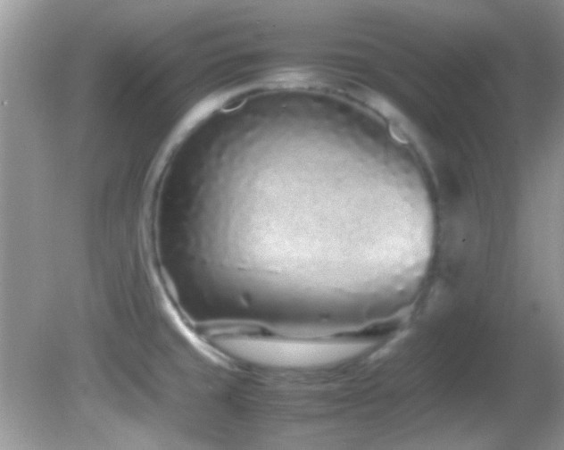 X0000082751429200701261455