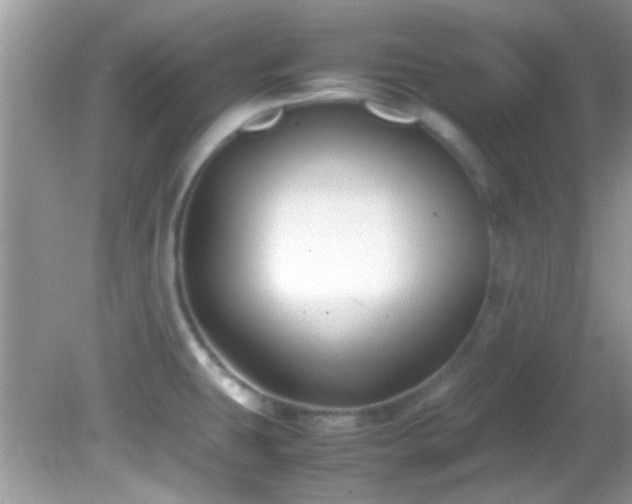 X0000082751431200701261456