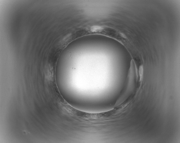 X0000082751443200701261455