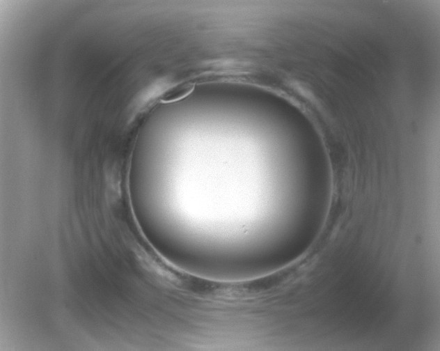 X0000082751451200701261455