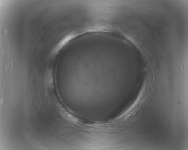 X0000082751455200701261455