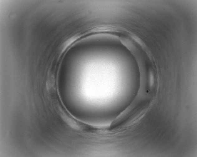 X0000082751465200701261454