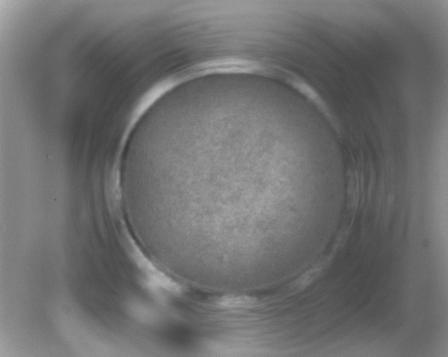 X0000082751466200701261454