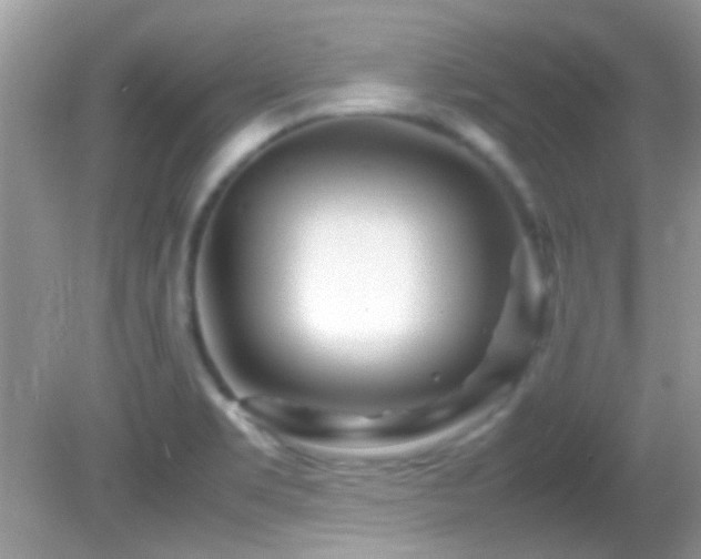 X0000082751469200701261454