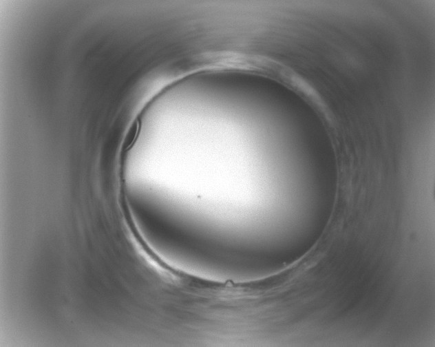 X0000082751479200701261454