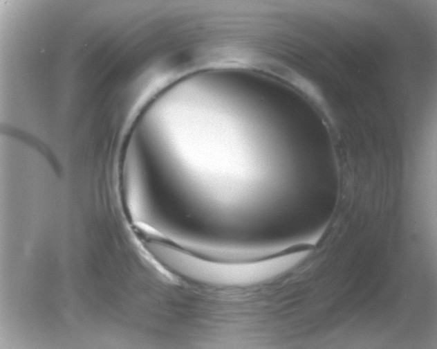 X0000082751480200701261454
