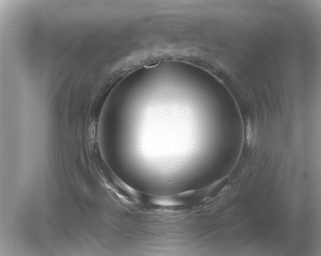 X0000082751492200701261453