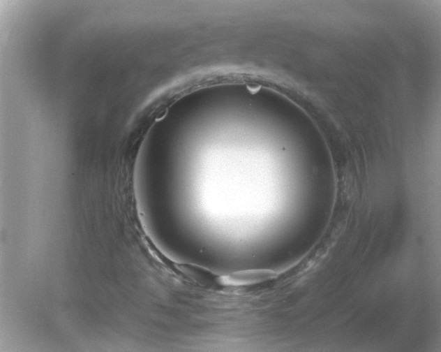 X0000082751494200701261453