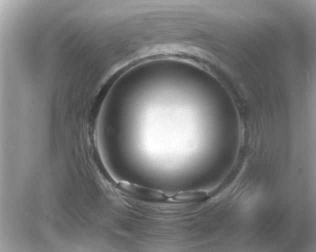 X0000082751497200701261453