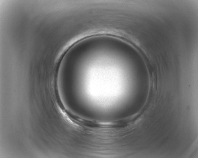 X0000082751500200701261453