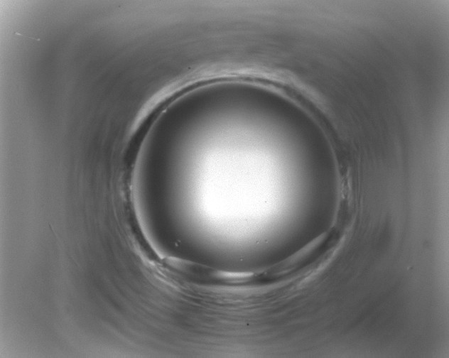 X0000082751501200701261453