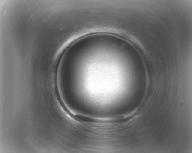 X0000082751504200701261454