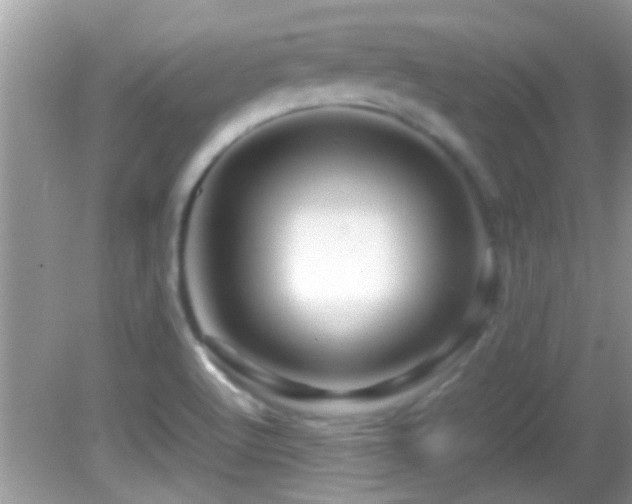 X0000082751512200701261454