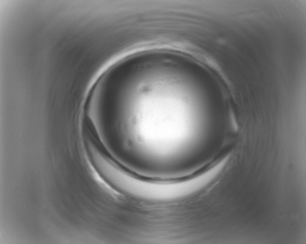 X0000082751516200701261454
