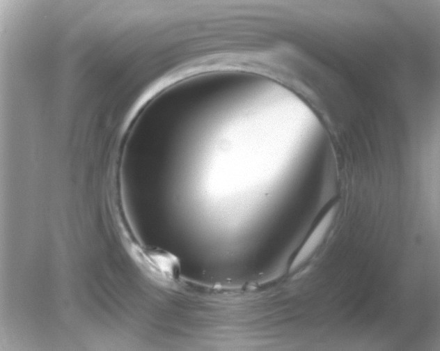 X0000082751530200701261454