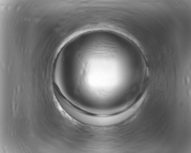 X0000082751534200701261454