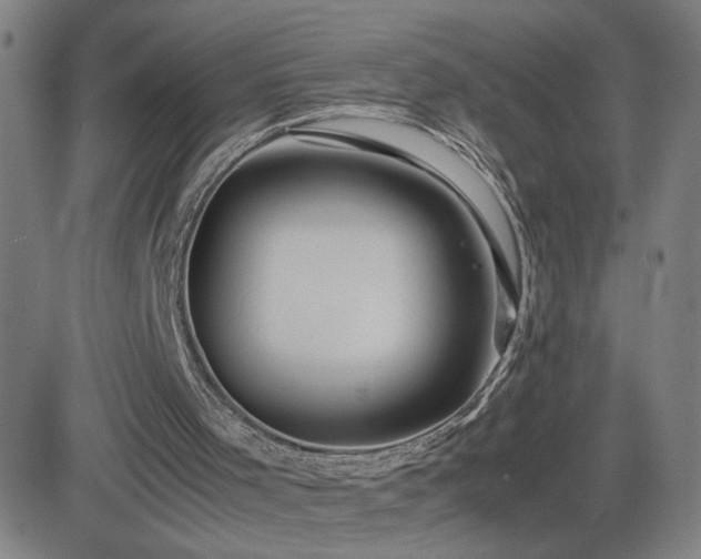 X0000082750001200702021422