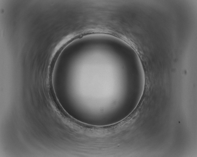 X0000082750008200702021422