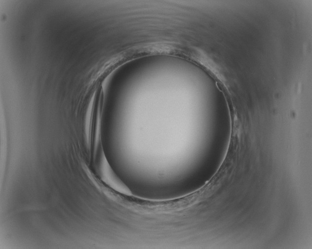 X0000082750013200702021422